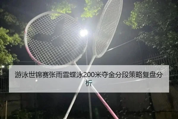 you-yong-shi-jin-sai-zhang-yu-fei-die-yong-mi-duo-jin-fen-duan-ce-lve-fu-pan-fen-xi-3-374.jpg