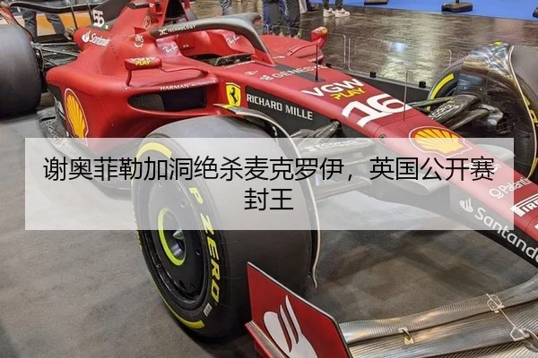 谢奥菲勒加洞绝杀麦克罗伊，英国公开赛封王