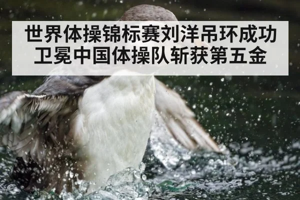 世界体操锦标赛刘洋吊环成功卫冕中国体操队斩获第五金